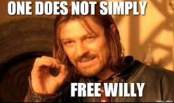 free willy.jpg