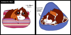 guinea_pig_diaries___jedward__s_bed_by_beckit-d4y4c0t.png