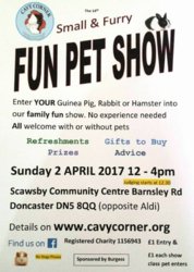 Cavy Corner Fun Day April 2017.jpg