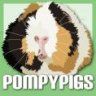 pompypigs