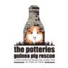 The Potteries Guinea Pig Rescue