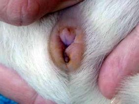 pic13.jpg