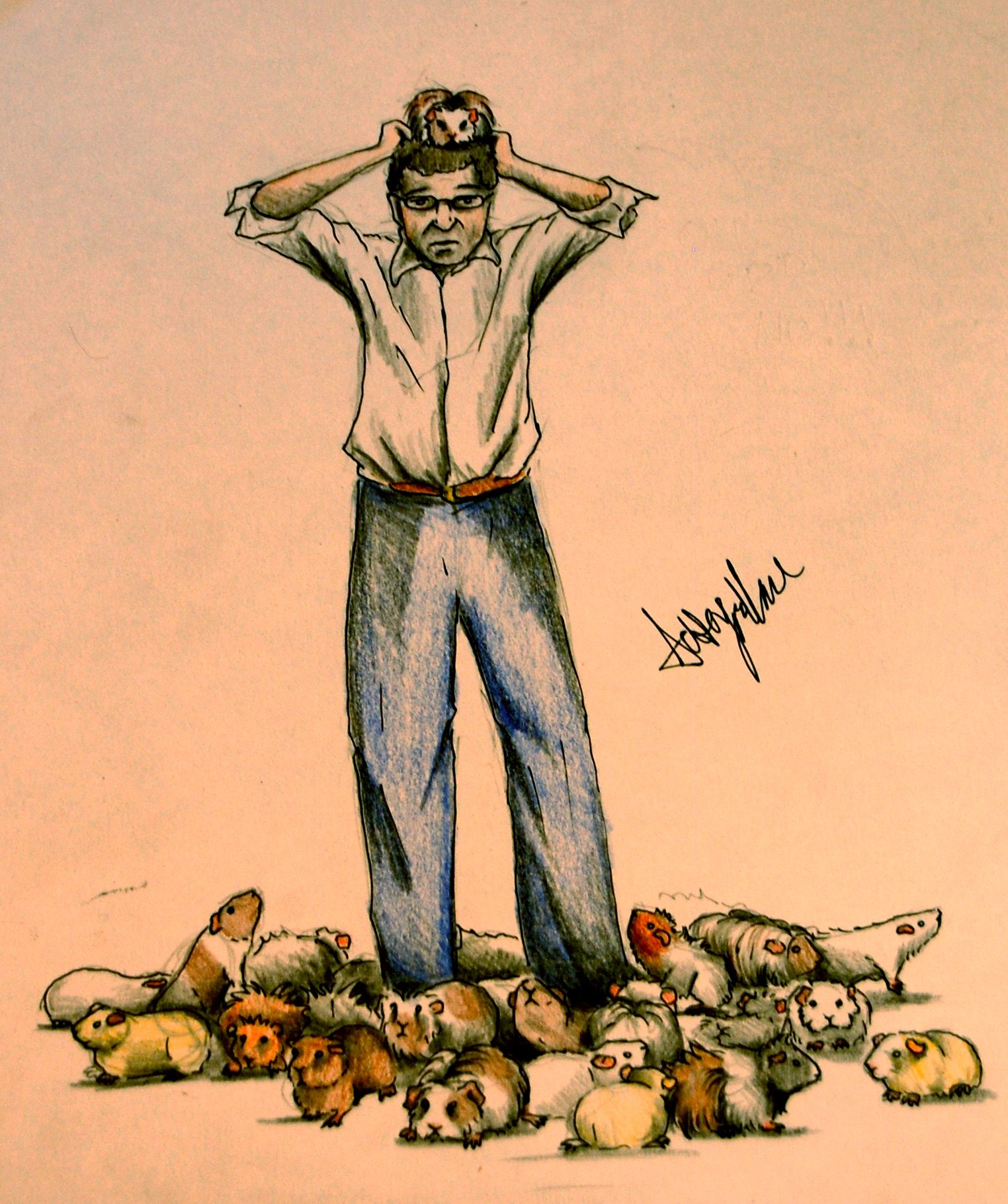 guinea-pigs.jpg