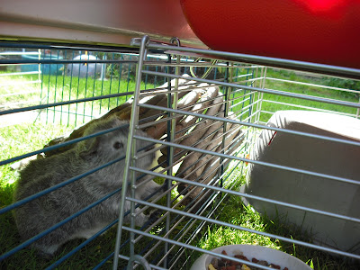 DSCF1012.JPG