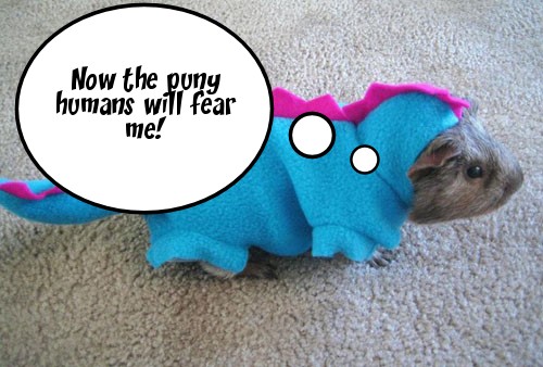 1guinea-pig-godzilla-captioned.jpg