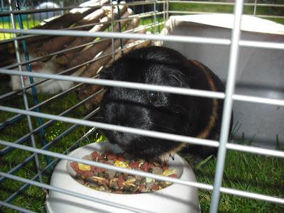 DSCF1011.JPG