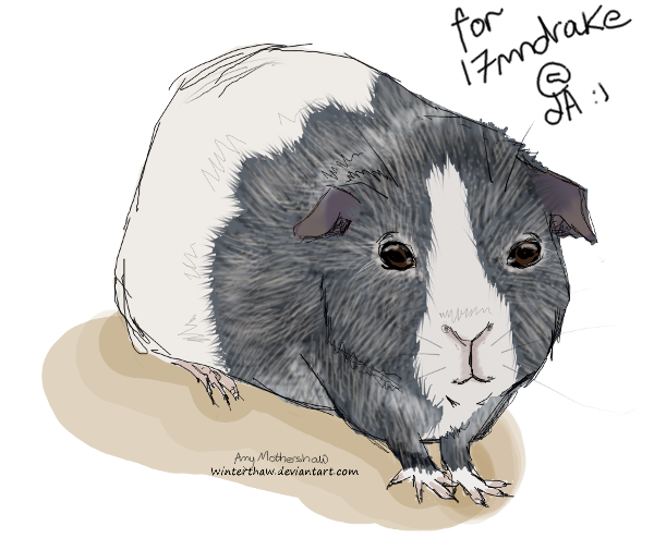17mndrake_luckypig_by_winterthaw-d8tq87t.png