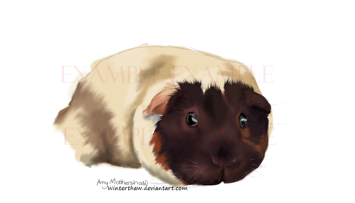 joe_portrait_by_winterthaw-d8l2jwu.png