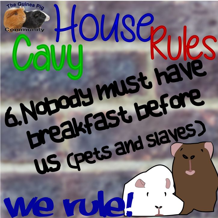 c2b6b2ecfd6f25f9b6f4893790aee0de.jpg