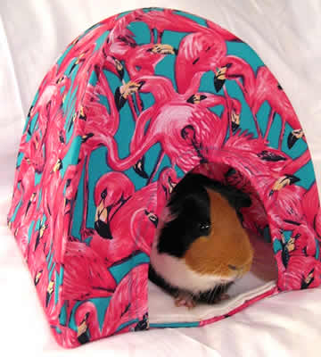 tent.jpg