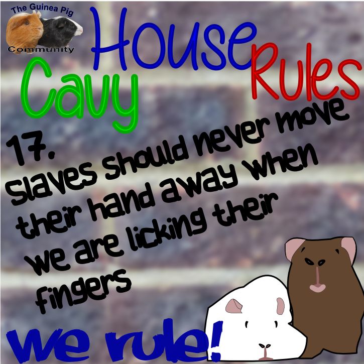 5747f09b0aa997374bcc95a3c6318f9c.jpg
