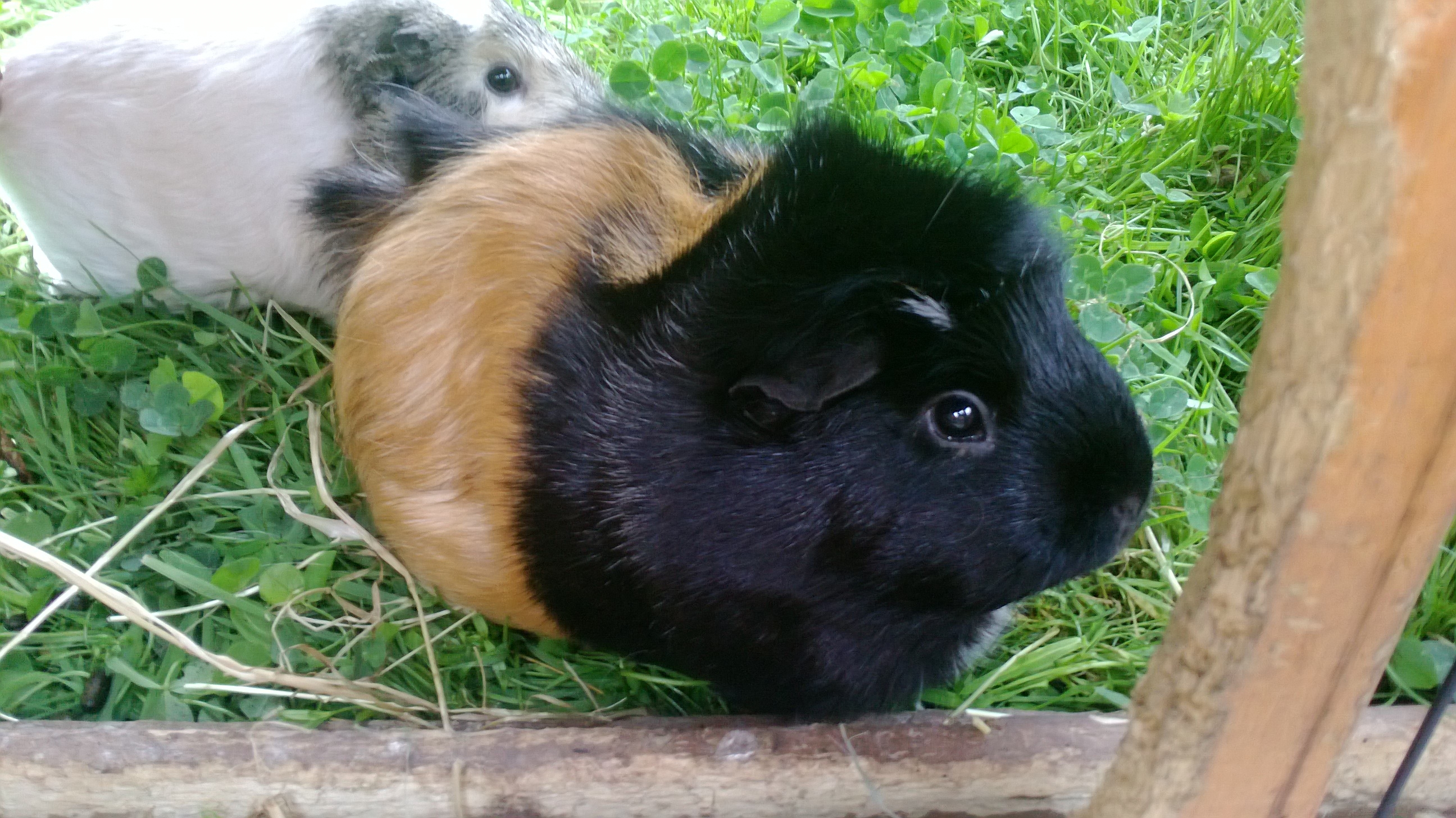 savedpicture-201387123046.jpg