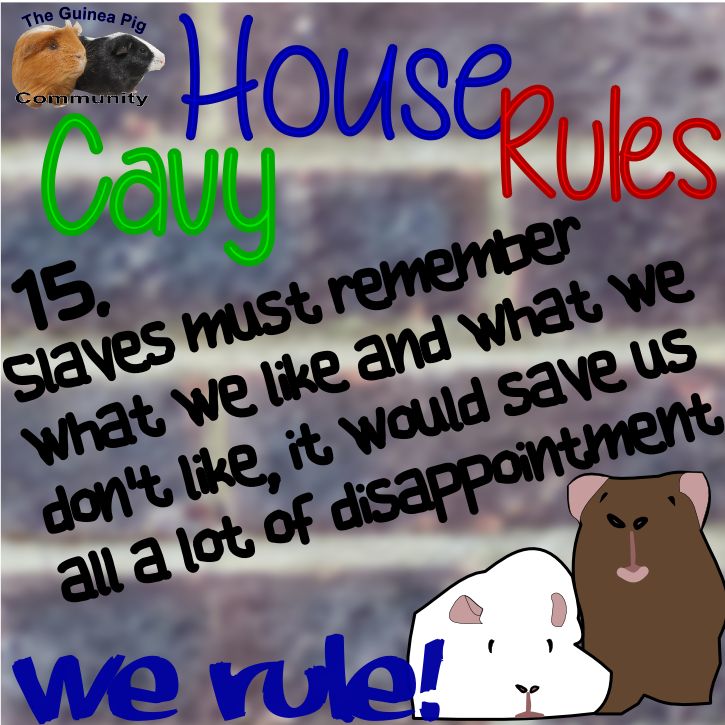 9fe5e214bf7cc8e886666a476b014cff.jpg