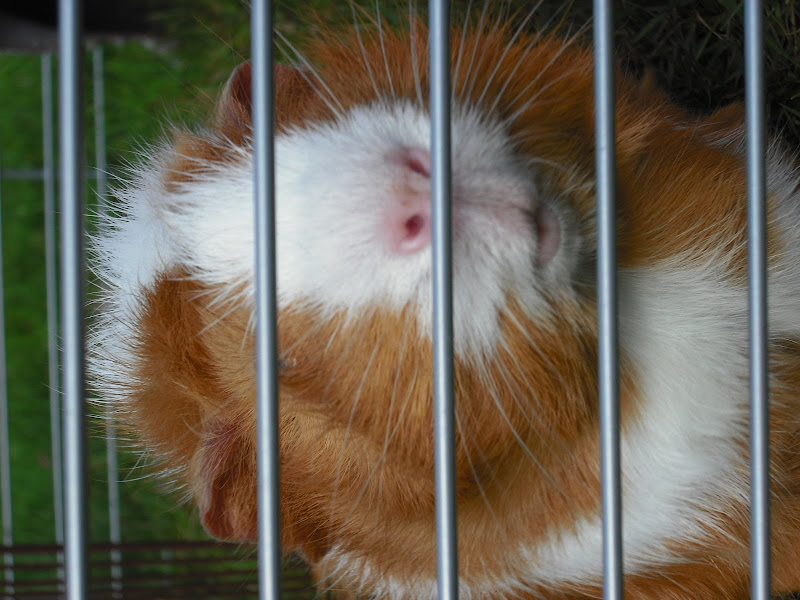 DSCF1115.JPG
