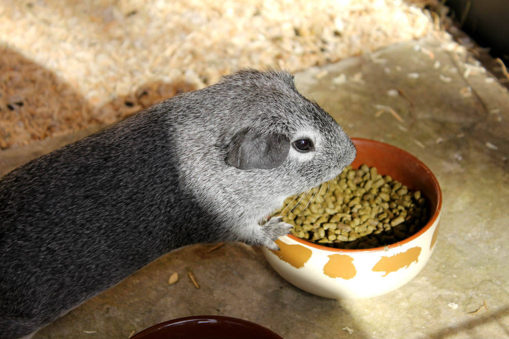 tumblr_maapltSHVv1rcczcyo1_1280.jpg